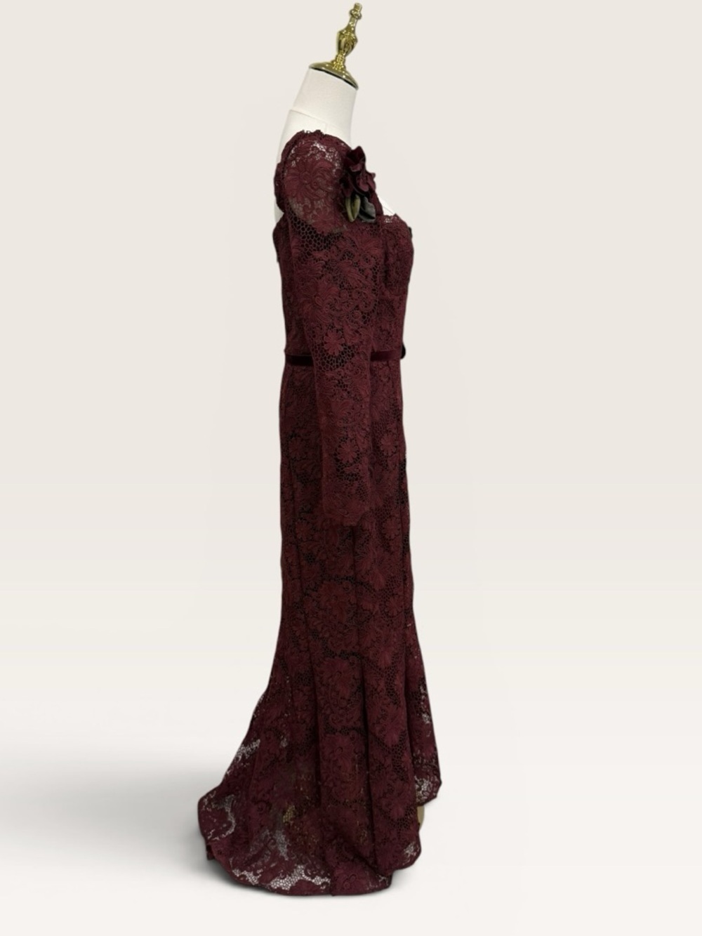 Muse by Marchesa Cypress Corded Lace Floral Applique Sweetheart Dress NWT Garnet - Picture 9 of 15